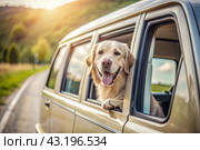 The concept of traveling with animals. A dog sticks its head out of the window of a car, a tourist van during a trip on a hot sunny day. Стоковое AI-изображение, AI-художник Photojuli / Фотобанк Лори