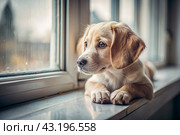 Leaving the animal alone at home. A sad little puppy looks out the window and waits for its owner. Стоковое AI-изображение, AI-художник Photojuli / Фотобанк Лори