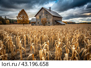 The concept of global warming on planet Earth. Dry and cracked earth and a field of wheat. The farmer's wheat crop is dead, dead, withered. The effects of climate change. Стоковое AI-изображение, AI-художник Photojuli / Фотобанк Лори