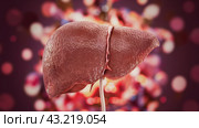 A close up of a human liver on defocused background, AI. Стоковое AI-изображение, AI-художник Сергей Старуш / Фотобанк Лори