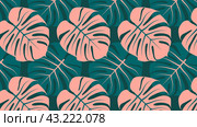 Прямоугольный фон с узором из листьев монстеры. Rectangular background with two-color monstera leaf pattern. Редакционная иллюстрация, иллюстратор Ирина Щербакова / Фотобанк Лори
