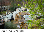Аутентичный пейзаж с видом на сад и искусственный водопад с текущей водой и каменными конструкциями. Тройной водопад в японском саду. Стоковое фото, фотограф Дорощенко Элла / Фотобанк Лори