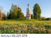 Троицкая церковь, село Дединово (2024 год). Редакционное фото, фотограф Ирина Яровая / Фотобанк Лори