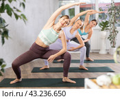 Class of motivated fit young women stretching in Extended Side Angle Pose or Utthita Parsvakonasana during yoga class in gym studio. Стоковое фото, фотограф Яков Филимонов / Фотобанк Лори