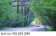 The car is driving on the morning highway video (2024 год). Редакционное видео, видеограф MК / Фотобанк Лори