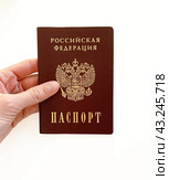 Паспорт Российской Федерации на белом фоне. Сертификационный документ. Стоковое фото, фотограф Светлана Захарова / Фотобанк Лори