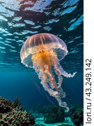 Jellyfish (Cubozoa) swimming in tropical underwaters bottom view. Medusa in underwater wild animal world. Observation of wildlife ocean. Scuba diving in Ecuador coast. Copy text space. Стоковое AI-изображение, AI-художник Aleksandr Golubev / Фотобанк Лори