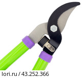 Садовый секатор на белом фоне. Gardening secateurs for cutting branches isolated on white. Стоковое фото, фотограф Татьяна Д / Фотобанк Лори