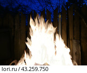 Burning bonfire in the dark. Стоковое фото, фотограф Andrew_Swarga / Фотобанк Лори