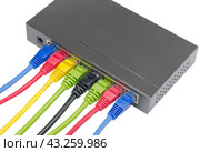 Сетевой коммутатор с подключенными разноцветными сетевыми кабелями. Closeup of network cables connected to router on white. Стоковое фото, фотограф Татьяна Д / Фотобанк Лори
