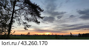 Spring sunset over the field. Стоковое фото, фотограф Andrew_Swarga / Фотобанк Лори