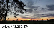 Spring sunset over the field. Стоковое фото, фотограф Andrew_Swarga / Фотобанк Лори