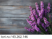 Lavender branches lying on a gray wooden surface. Lavender flowers have a vibrant purple color that contrasts with the muted grays and browns of the wood. The lavender branches are carefully placed on the right side of the image, leaving empty space on the left. This image is ideal for use as a background in design projects related to nature, floristry and decoration. Стоковое AI-изображение, AI-художник Анна Кривицкая / Фотобанк Лори