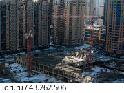 Строительство школы в новом микрорайоне в подмосковном Реутове (2024 год). Редакционное фото, фотограф Наталья Филатова / Фотобанк Лори
