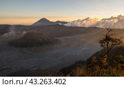 Bromo Tengger Semeru National Park. Стоковое фото, фотограф Юлия Белоусова / Фотобанк Лори