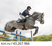 19 may 2024, Mafra, Portugal - competition in military academy - man is riding a horse and jumping over a hurdle. Редакционное фото, фотограф Константин Шишкин / Фотобанк Лори