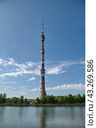 Останкинская телебашня со стороны Останкинского пруда. Москва, Россия (2024 год). Стоковое фото, фотограф Елена Коромыслова / Фотобанк Лори