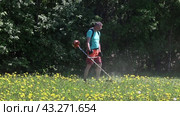 Farmer uses gasoline engine powered string trimmer to destroy weeds in dandelion field. Стоковое видео, видеограф Владимир Григорьев / Фотобанк Лори