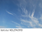 White clouds in the sky. Стоковое фото, фотограф Andrew_Swarga / Фотобанк Лори