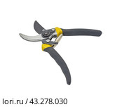Садовый секатор на белом фоне. Gardening secateurs for cutting branches isolated on white. Стоковое фото, фотограф Татьяна Д / Фотобанк Лори