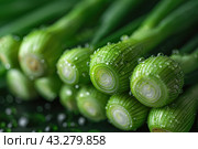 A close-up of fresh green onions with drops of water glistening on its surface. The bulbs and stems look juicy and appetizing, emphasizing their freshness and quality. The photo was taken in high detail, allowing you to see the structure and texture of the vegetable. The green onions sit against a dark background that contrasts with the brightness of the greens, creating an attractive visual effect. This painting is ideal for use in food blogs, recipes, and healthy eating illustrations. Стоковое AI-изображение, AI-художник Анна Кривицкая / Фотобанк Лори