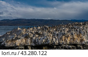 Many cormorants have settled on the slopes of a rocky islet in the Beagle Channel. Mountains against a background of blue sky and clouds in the distance. Argentina. Tierra del Fuego Archipelago. Стоковое фото, фотограф Вера Ивановна Кубарева / Фотобанк Лори
