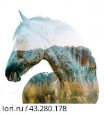 The silhouette of a horse against the background of mountains and fields with grass. Double exposure. Стоковое AI-изображение, AI-художник Ярославский Максим / Фотобанк Лори