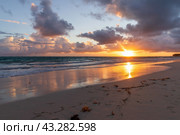 Coastal landscape with colorful sunrise sky. Bavaro beach (2022 год). Стоковое фото, фотограф EugeneSergeev / Фотобанк Лори