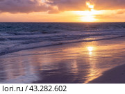 Colorful tropical landscape, sunrise over Atlantic Ocean, Bavaro beach (2022 год). Стоковое фото, фотограф EugeneSergeev / Фотобанк Лори