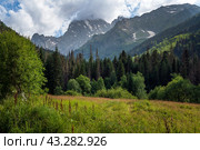 View of Kosygin's glade (Buulu Tala) in the Gonachkhir gorge and the top of Dombai-Ulgen mountain near Dombai ski resort on a sunny summer day, Karachay-Cherkessia, Russia. Стоковое фото, фотограф Ula Ulachka / Фотобанк Лори