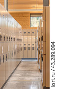 The hallway, offering ample space, features various lockers for safekeeping personal belongings. Стоковое AI-изображение, AI-художник Юрий Поздников / Фотобанк Лори