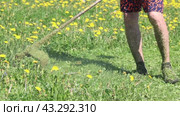 Gardeners feet are covered in chopped grass flying from head of string trimmer to destroy weeds. Стоковое видео, видеограф Владимир Григорьев / Фотобанк Лори