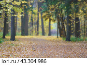 Defocused photography of autumn in the Moscow public park. Autumn coming. Lush foliage became golden. Calmness and peaceful in the air. Стоковое фото, фотограф YuryKara / Фотобанк Лори
