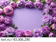 A frame with beautiful peony flowers on a pastel purple background. The layout of the apartment, top view, a place to copy, summer flowers. Стоковое AI-изображение, AI-художник Photojuli / Фотобанк Лори