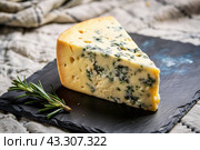 Cheese with mold, a slice of cheese with mold door blue or Roquefort on a cutting board. Delicious food. Стоковое AI-изображение, AI-художник Photojuli / Фотобанк Лори