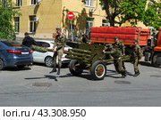 Артиллеристы салютного дивизиона катят вручную по улице 76мм дивизионную пушку ЗИС-3. Волгоград, улица Мира, Россия (2024 год). Редакционное фото, фотограф Андрей Цыганков / Фотобанк Лори