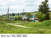 Село Суенга. Новосибирская область, Маслянинский район, Западная Сибирь России. (2024 год). Стоковое фото, фотограф Евгений Мухортов / Фотобанк Лори
