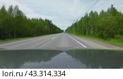 Вид т первого лица с автомобиля, едущего по лесному загородному шоссе в Карелии в летний день. 4К (2024 год). Редакционное видео, видеограф Sergei Gorin / Фотобанк Лори