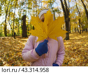 Девочка прячется за желтым кленовым листиком. Стоковое фото, фотограф YuryKara / Фотобанк Лори