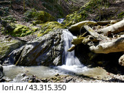 Водопад на притоке реки Сибирь, Даховская, Адыгея. Стоковое фото, фотограф Оглоблин Андрей Николаевич / Фотобанк Лори