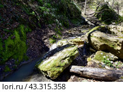 Водопад на притоке реки Сибирь, Даховская, Адыгея. Стоковое фото, фотограф Оглоблин Андрей Николаевич / Фотобанк Лори