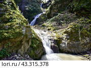Водопад на притоке реки Сибирь, Даховская, Адыгея. Стоковое фото, фотограф Оглоблин Андрей Николаевич / Фотобанк Лори