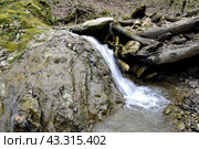 Водопад на притоке реки Сибирь, Даховская, Адыгея. Стоковое фото, фотограф Оглоблин Андрей Николаевич / Фотобанк Лори