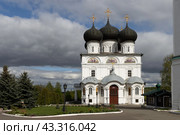 Успенский Трифонов монастырь, город Киров, Кировская область, Россия. Собор Успения Богородицы (Успенский собор). Красивый старинный православный храм 17 века. Большая белокаменная церковь с чёрными куполами. Архитектурная достопримечательность города Кирова. Стоковое фото, фотограф Андрей Степанов / Фотобанк Лори