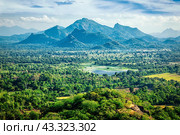 Sri Lankan landscape. Стоковое фото, фотограф Дмитрий Рухленко / Фотобанк Лори