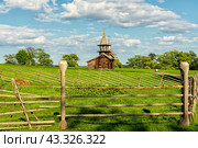 The landscape of the field, the garden and the wooden old chapel of the 15th century Archangel Mikhail on the island of Kizhi. Стоковое фото, фотограф Владимир Ушаров / Фотобанк Лори