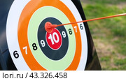 Archery targets. The arrow hits 10. Success target customer online marketing consultants. Dartboard arrow hitting in center. Business achievement concept. Straight to the aim symbol. Goal, shot, hit. Стоковое видео, видеограф Марина Демидюк / Фотобанк Лори