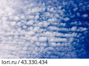White spindrift clouds on blue sky, background. Стоковое фото, фотограф Радомир Тарасов / Фотобанк Лори