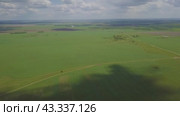 Aerial View of Lush Agricultural Fields on a Beautiful Sunny Day with a Vibrant Green Landscape. Стоковое видео, видеограф Victor Kaprov / Фотобанк Лори