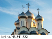 Купола Софийского собора. Вологда (2014 год). Стоковое фото, фотограф Александр Щепин / Фотобанк Лори